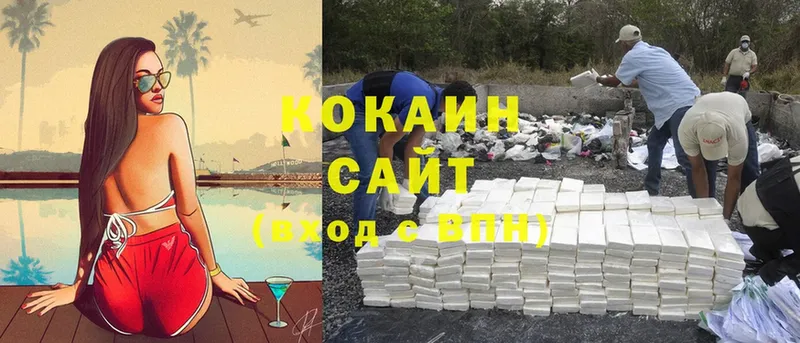 Cocaine FishScale  MEGA как зайти  Донецк 